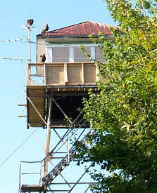 Old Lookout Fire Tower on Starr Mountain.